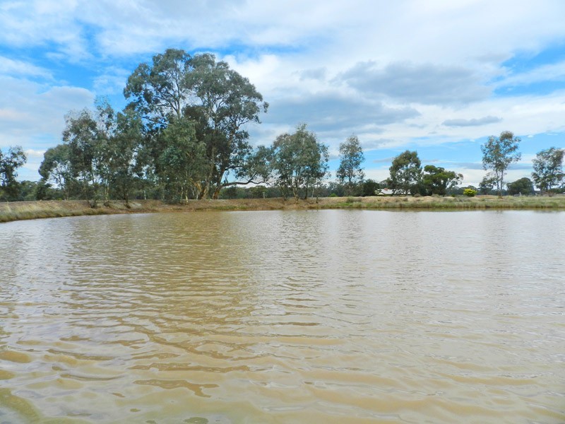 600  Fosterville Road, Bagshot VIC 3551