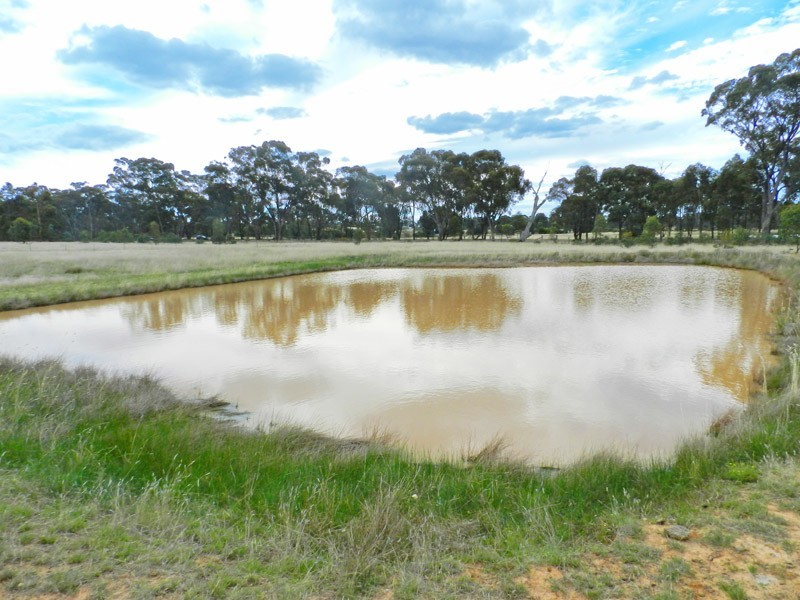 600  Fosterville Road, Bagshot VIC 3551