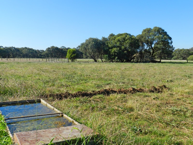 83 Jones Lane, Mologa VIC 3575