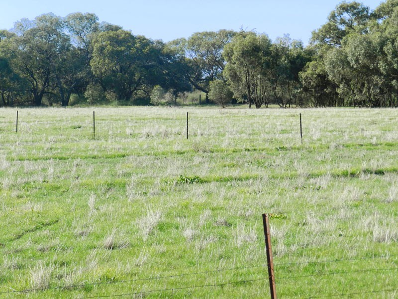 83 Jones Lane, Mologa VIC 3575