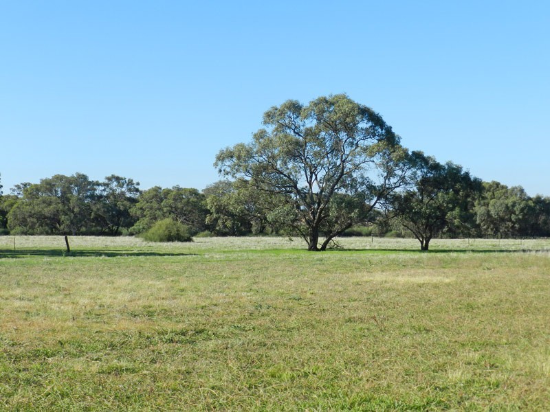 83 Jones Lane, Mologa VIC 3575