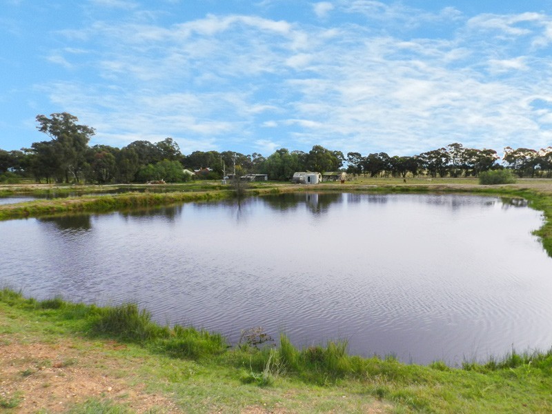 274 Voddens Road, Sebastian VIC 3556