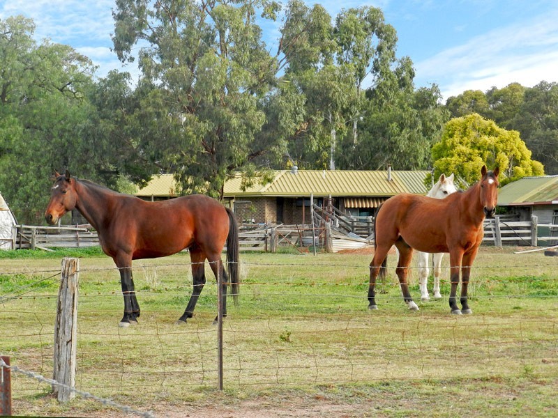 274 Voddens Road, Sebastian VIC 3556