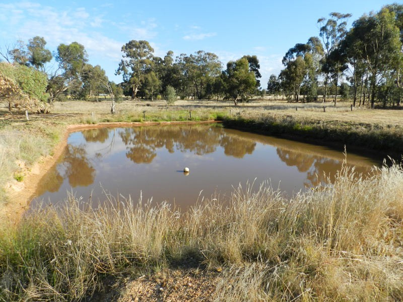 66 Greens Lane, Llanelly VIC 3551