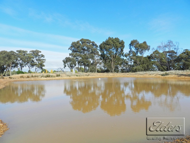 141 McKinnons Road, Lockwood VIC 3551