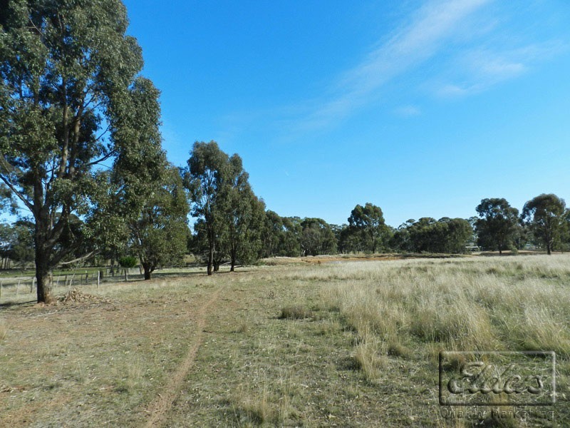 141 McKinnons Road, Lockwood VIC 3551