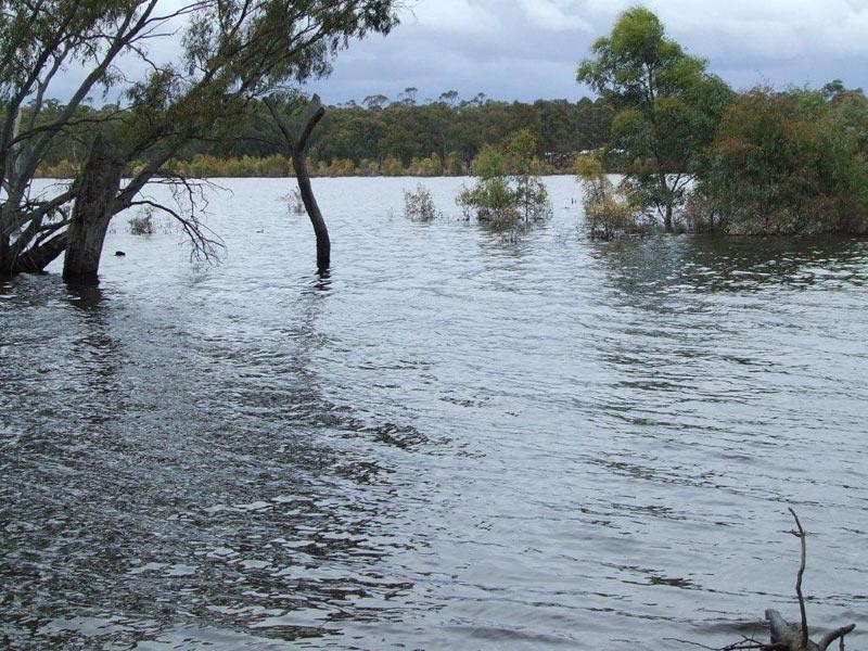 229A Comer Road, Eppalock VIC 3551