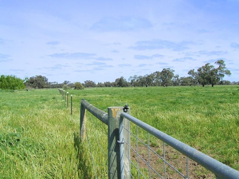 3956 Dingee Rochester Road, Dingee VIC 3571