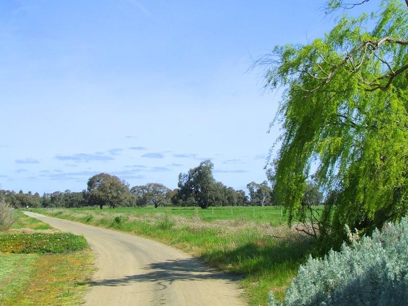 3956 Dingee Rochester Road, Dingee VIC 3571