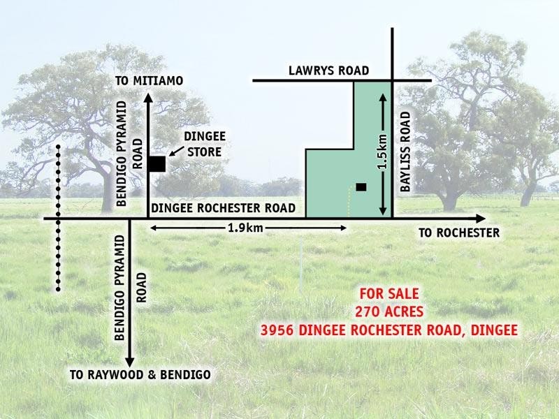 3956 Dingee Rochester Road, Dingee VIC 3571