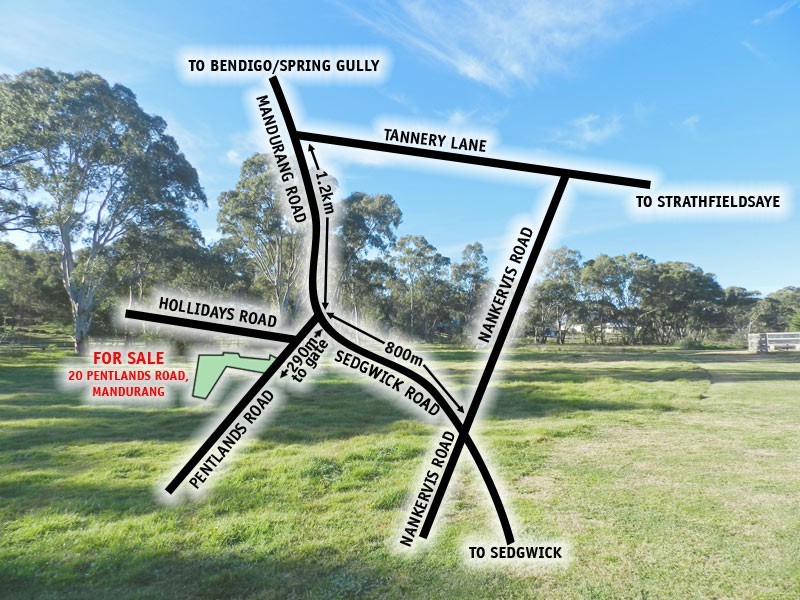 20 Pentlands Road, Mandurang VIC 3551
