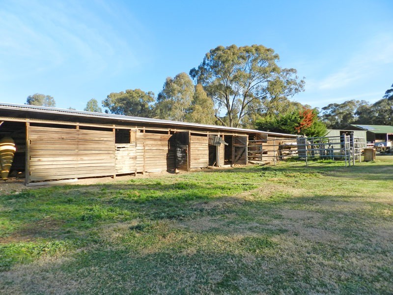 20 Pentlands Road, Mandurang VIC 3551