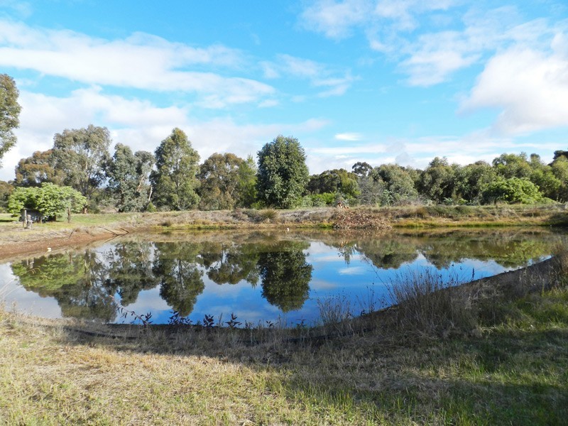 541 Crusoe Road, Lockwood VIC 3551