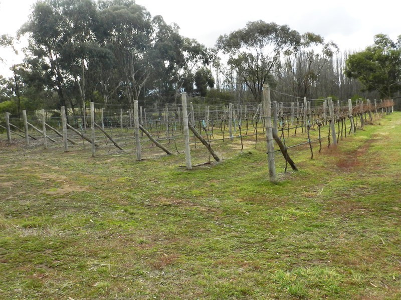 541 Crusoe Road, Lockwood VIC 3551