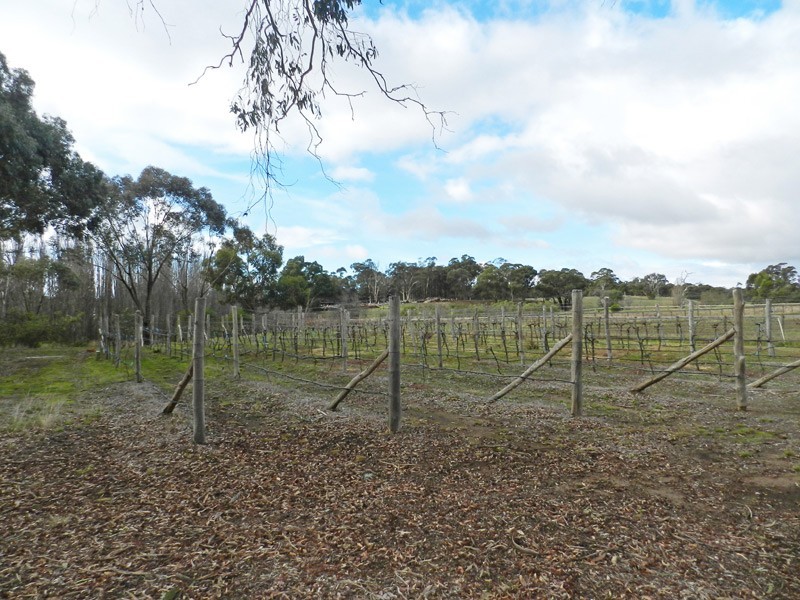 541 Crusoe Road, Lockwood VIC 3551