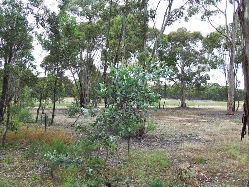 34A Hills Road, Heathcote VIC 3523