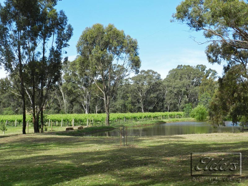 51 Andrews Road, Bendigo VIC 3550