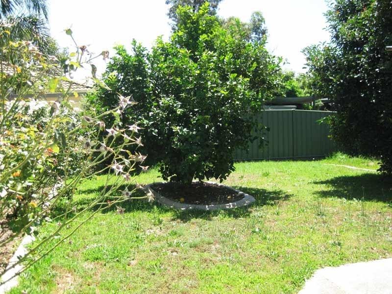 29 Ridgeway Crescent, Kennington VIC 3550