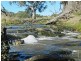 Newstead VIC 3462
