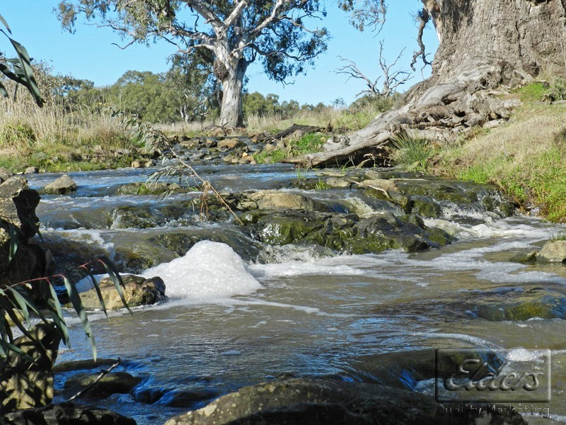 Newstead VIC 3462