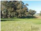 Newstead VIC 3462