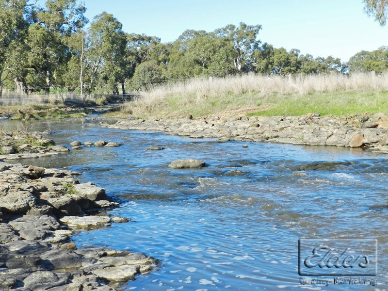 Newstead VIC 3462