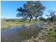 Newstead VIC 3462
