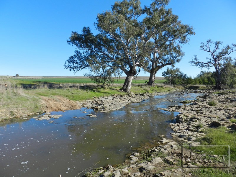Newstead VIC 3462