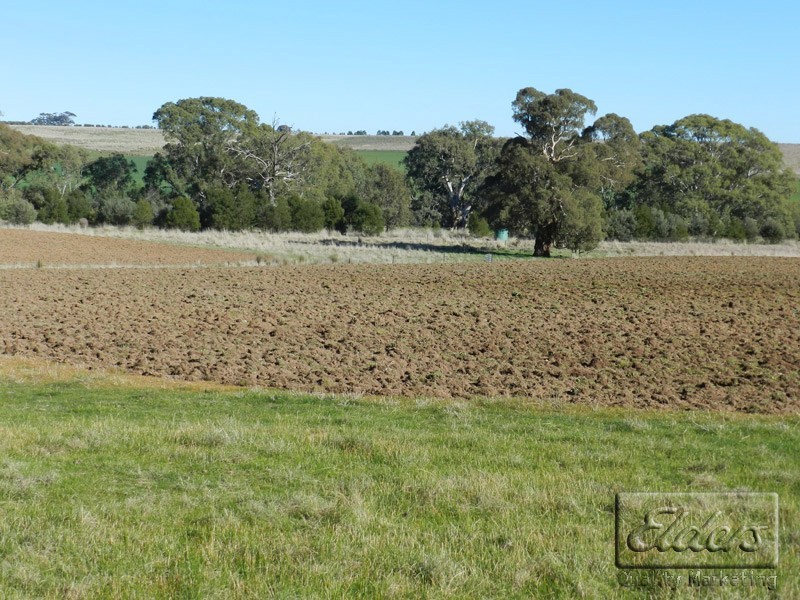Newstead VIC 3462
