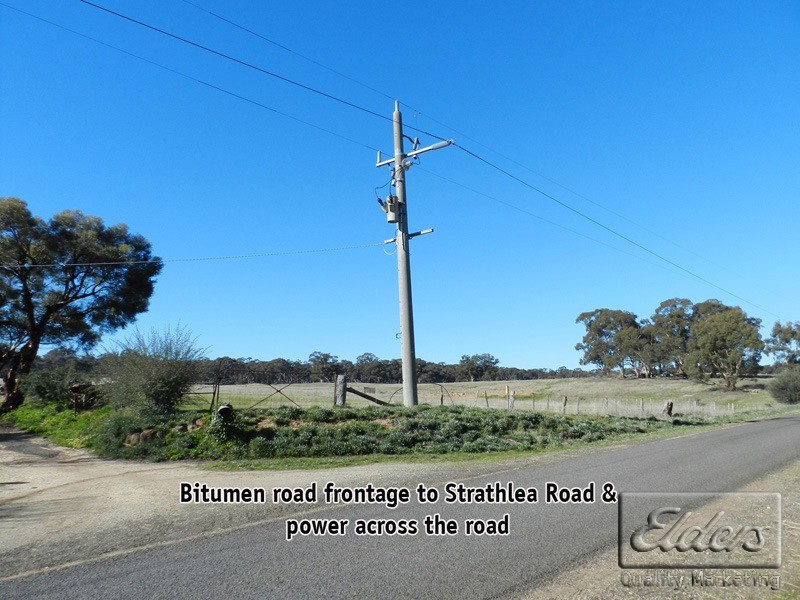 Newstead VIC 3462