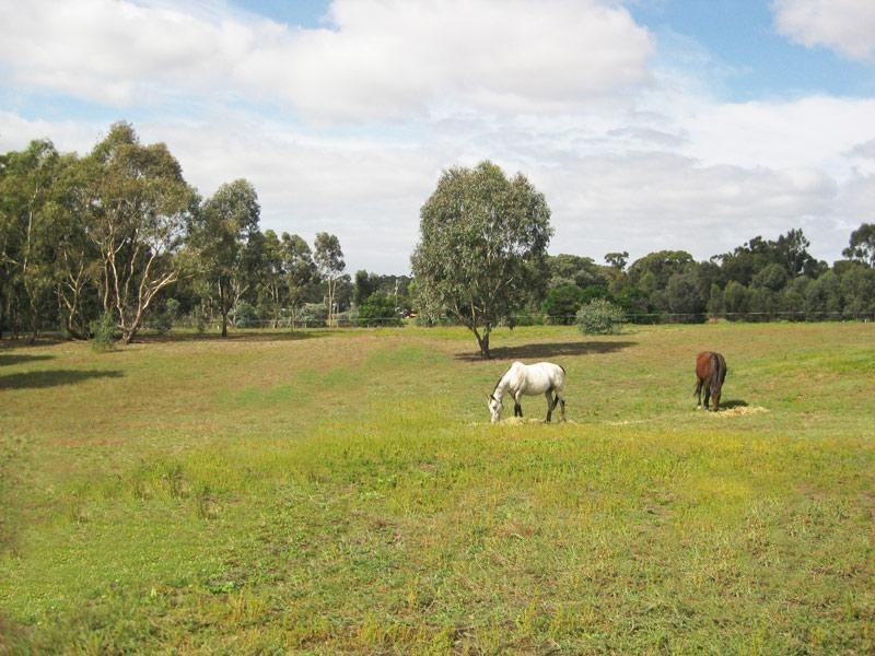51 Hannans Road, Mandurang South VIC 3551