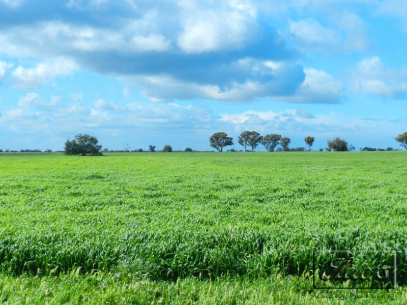 4354 Bridgewater-Maldon Road, Bridgewater VIC 3516