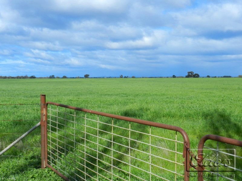 4354 Bridgewater-Maldon Road, Bridgewater VIC 3516