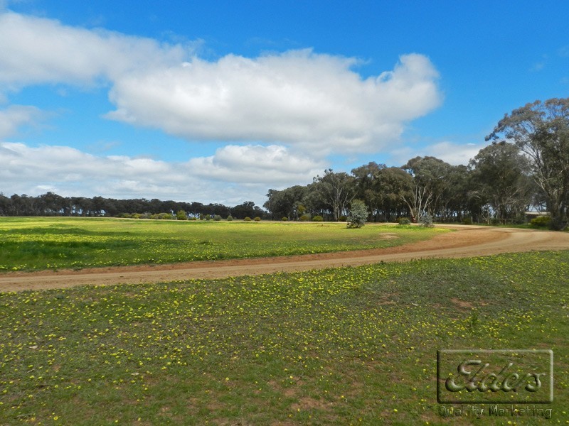 110 Egans Road, Marong VIC 3515