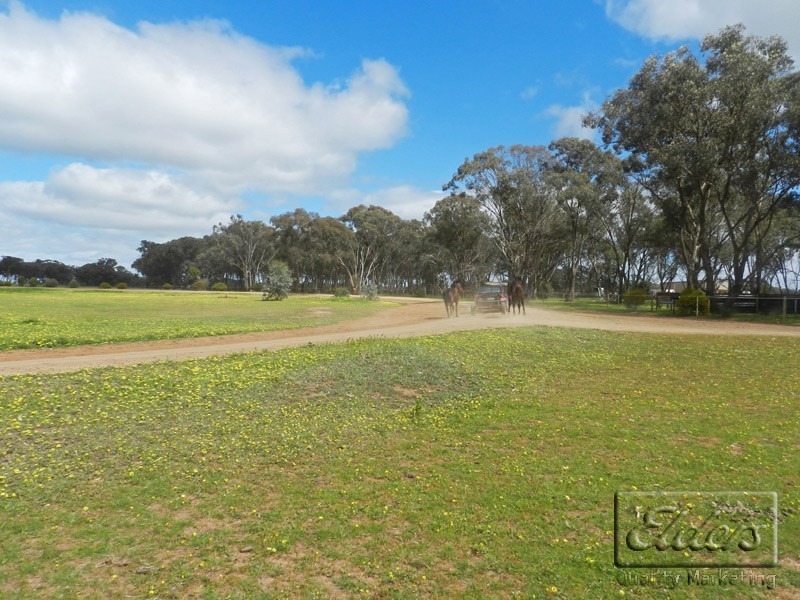 110 Egans Road, Marong VIC 3515