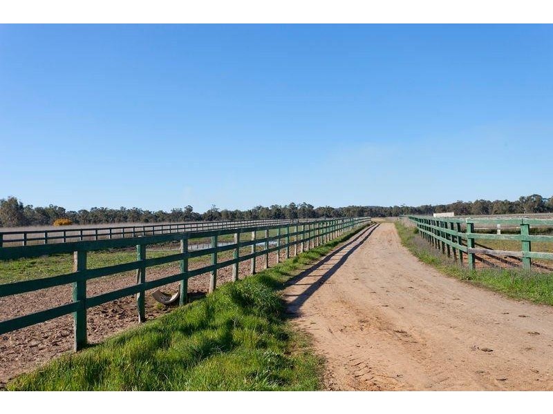 1535 McIvor Highway, Longlea VIC 3551