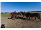 1535 McIvor Highway, Longlea VIC 3551