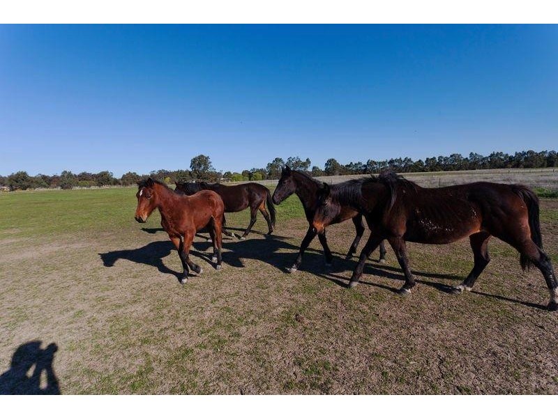 1535 McIvor Highway, Longlea VIC 3551