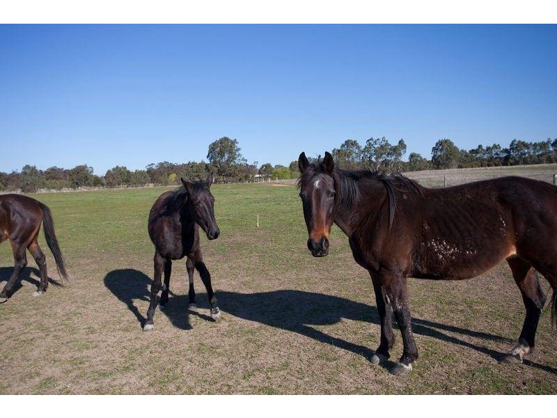 1535 McIvor Highway, Longlea VIC 3551