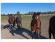 1535 McIvor Highway, Longlea VIC 3551