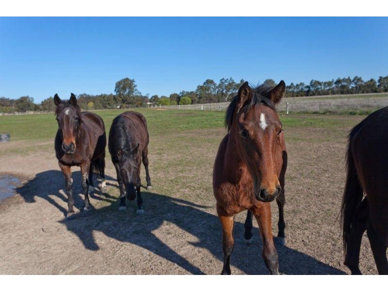 1535 McIvor Highway, Longlea VIC 3551