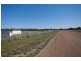 1535 McIvor Highway, Longlea VIC 3551