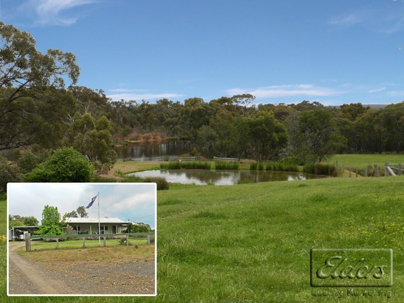 49 Echidna Lane, Lockwood South VIC 3551