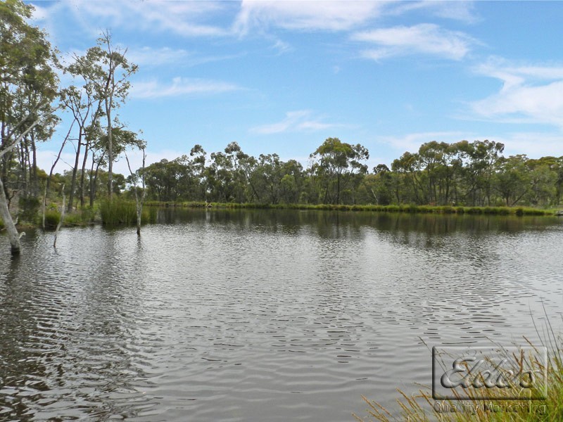 49 Echidna Lane, Lockwood South VIC 3551