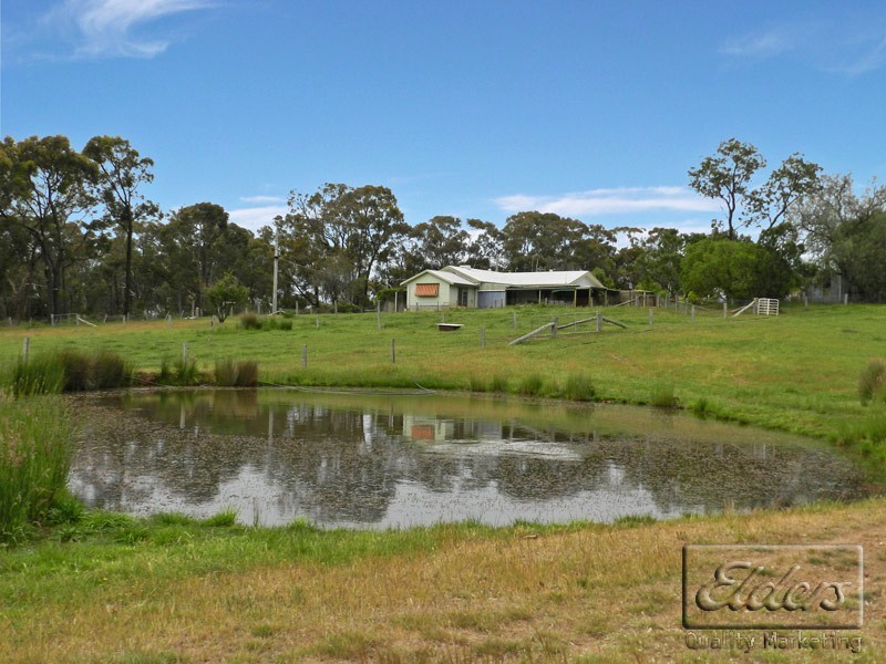 49 Echidna Lane, Lockwood South VIC 3551