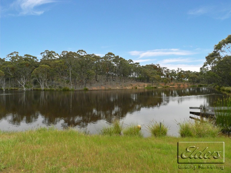 49 Echidna Lane, Lockwood South VIC 3551