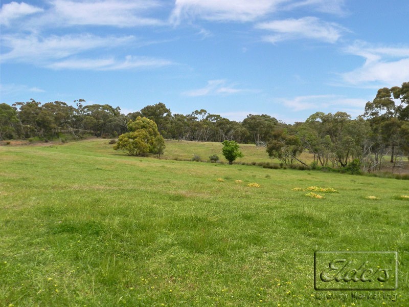 49 Echidna Lane, Lockwood South VIC 3551