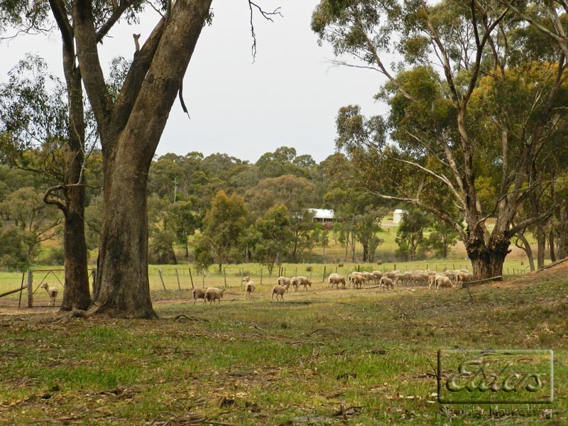 49 Echidna Lane, Lockwood South VIC 3551