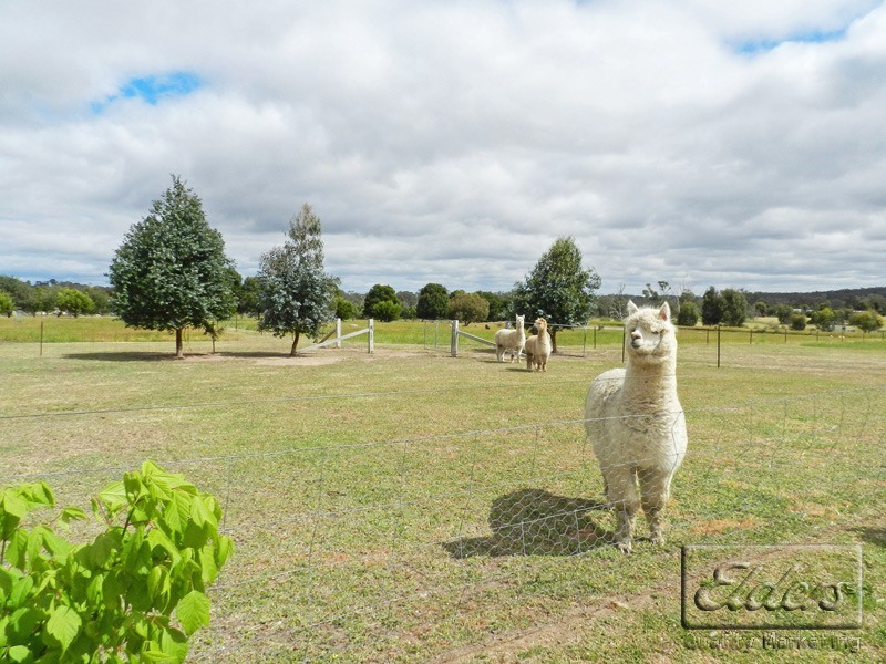 120 Nethercraig Road, Lockwood South VIC 3551