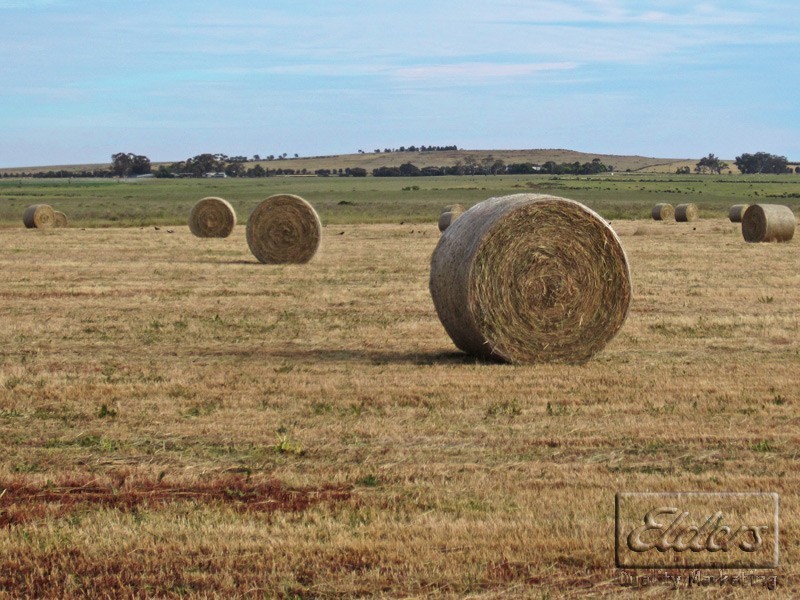 1468 Rodborough Road, Carisbrook VIC 3464